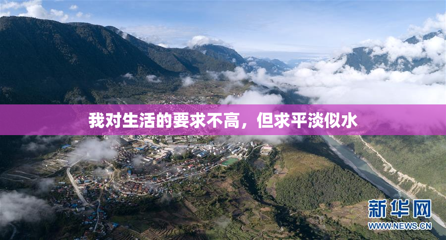 我对生活的要求不高，但求平淡似水