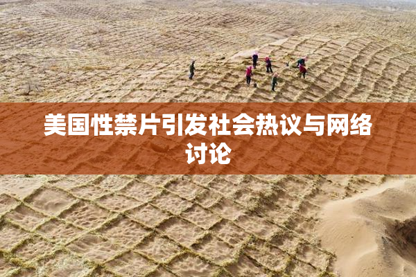 美国性禁片引发社会热议与网络讨论