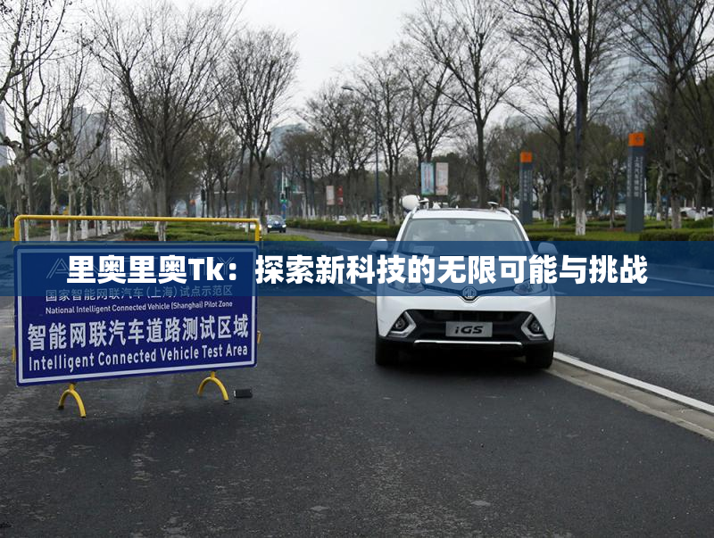 里奥里奥Tk：探索新科技的无限可能与挑战