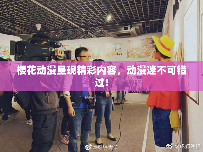 樱花动漫呈现精彩内容，动漫迷不可错过！