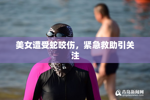 美女遭受蛇咬伤，紧急救助引关注