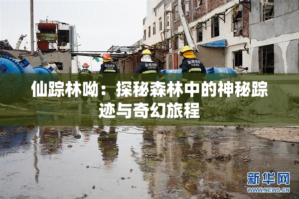 仙踪林呦：探秘森林中的神秘踪迹与奇幻旅程