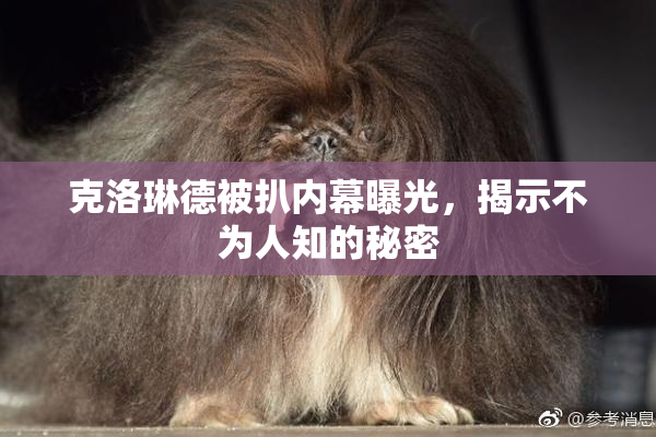 克洛琳德被扒内幕曝光，揭示不为人知的秘密
