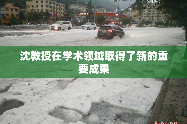 沈教授在学术领域取得了新的重要成果