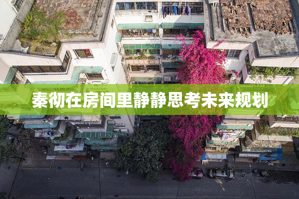 秦彻在房间里静静思考未来规划