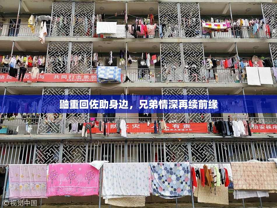 鼬重回佐助身边，兄弟情深再续前缘