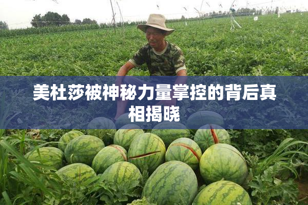 美杜莎被神秘力量掌控的背后真相揭晓