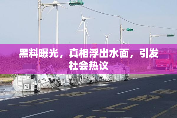 黑料曝光，真相浮出水面，引发社会热议