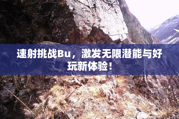 速射挑战Bu，激发无限潜能与好玩新体验！