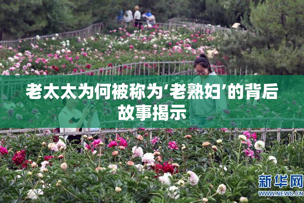 老太太为何被称为‘老熟妇’的背后故事揭示