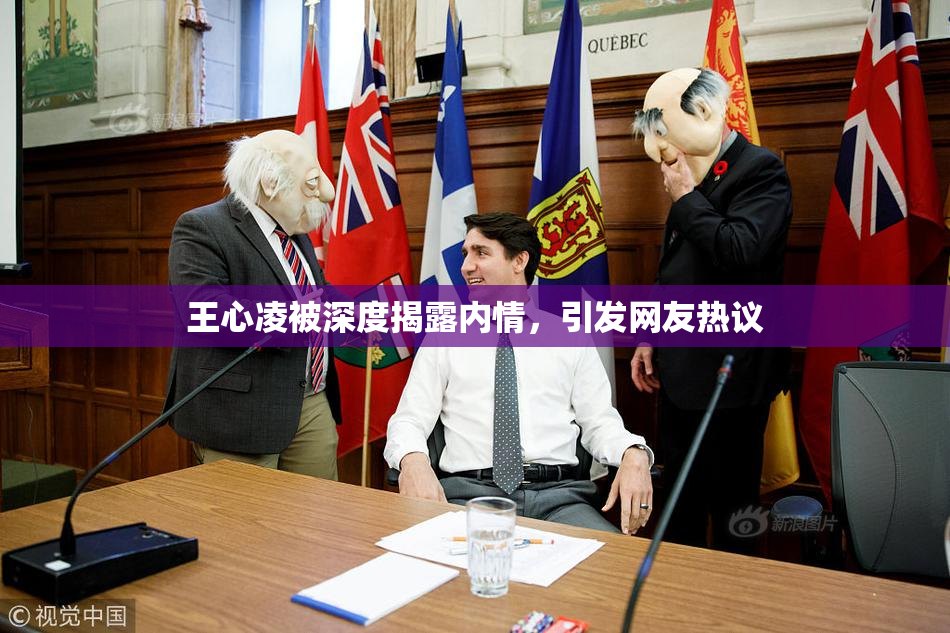 王心凌被深度揭露内情，引发网友热议