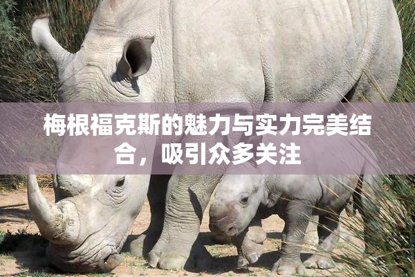 梅根福克斯的魅力与实力完美结合，吸引众多关注