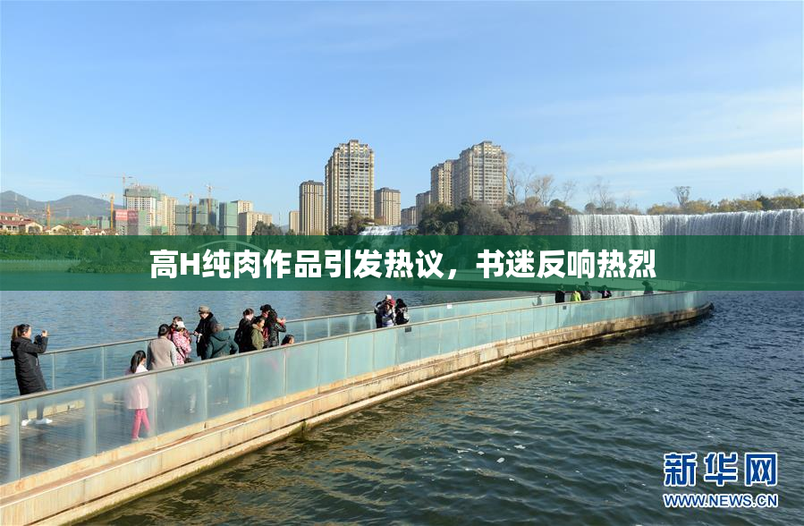 高H纯肉作品引发热议，书迷反响热烈