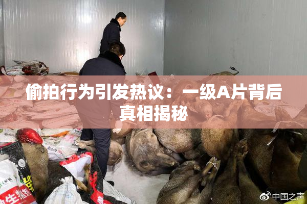 偷拍行为引发热议：一级A片背后真相揭秘