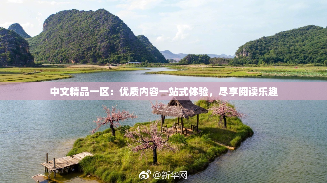 中文精品一区：优质内容一站式体验，尽享阅读乐趣