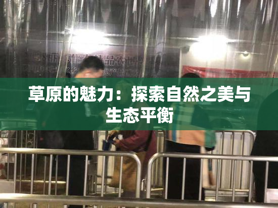草原的魅力：探索自然之美与生态平衡