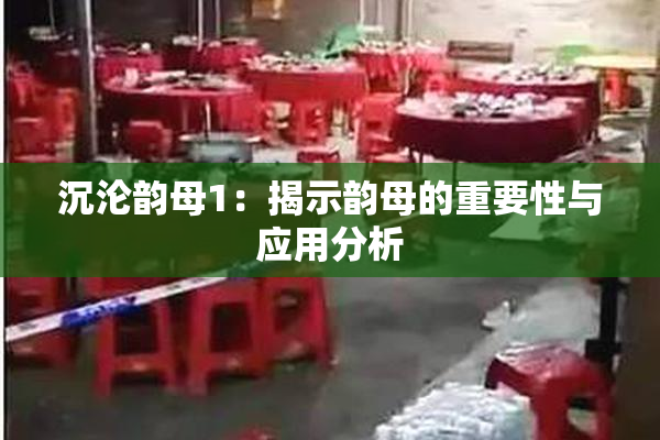 沉沦韵母1：揭示韵母的重要性与应用分析