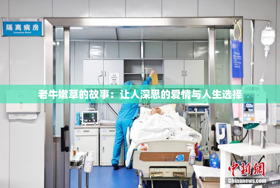 老牛嫩草的故事：让人深思的爱情与人生选择