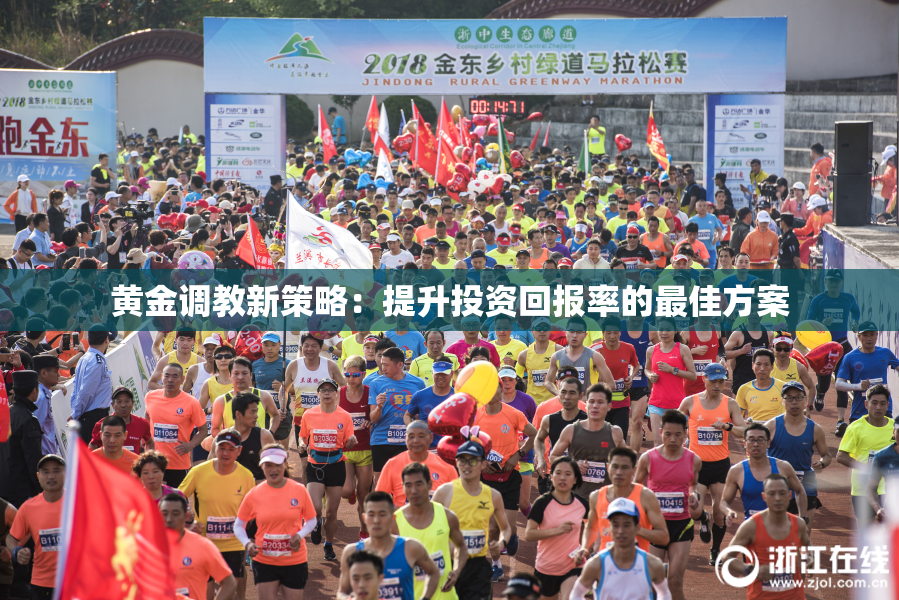 黄金调教新策略：提升投资回报率的最佳方案
