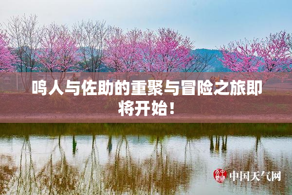 鸣人与佐助的重聚与冒险之旅即将开始！