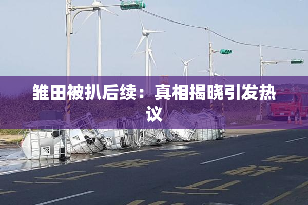 雏田被扒后续：真相揭晓引发热议