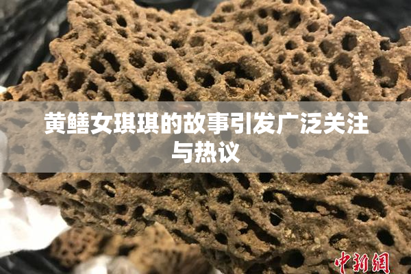 黄鳝女琪琪的故事引发广泛关注与热议