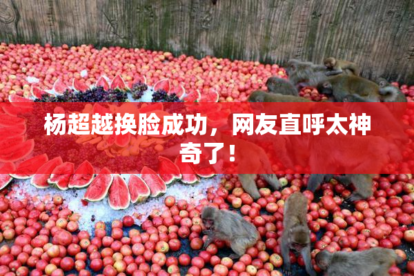 杨超越换脸成功，网友直呼太神奇了！