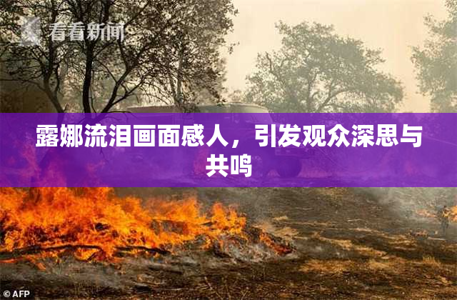 露娜流泪画面感人，引发观众深思与共鸣
