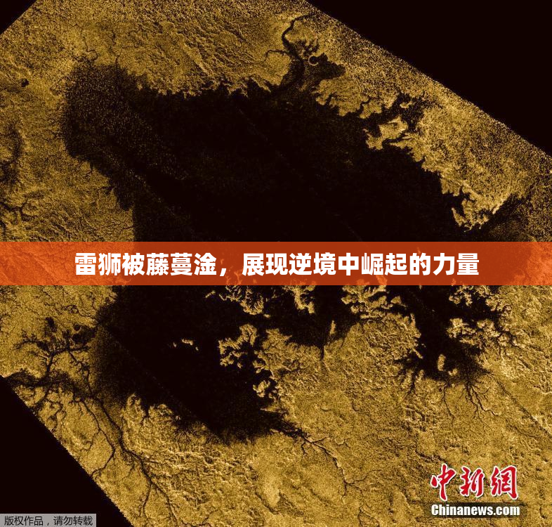 雷狮被藤蔓淦，展现逆境中崛起的力量