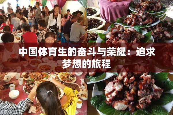 中国体育生的奋斗与荣耀：追求梦想的旅程
