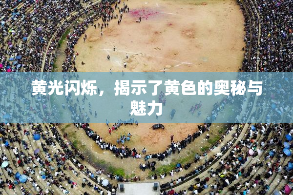 黄光闪烁，揭示了黄色的奥秘与魅力