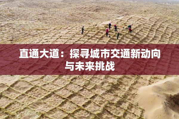 直通大道：探寻城市交通新动向与未来挑战