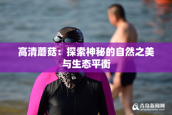 高清蘑菇：探索神秘的自然之美与生态平衡