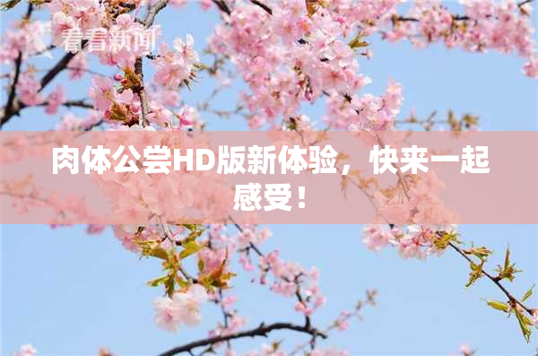 肉体公尝HD版新体验，快来一起感受！