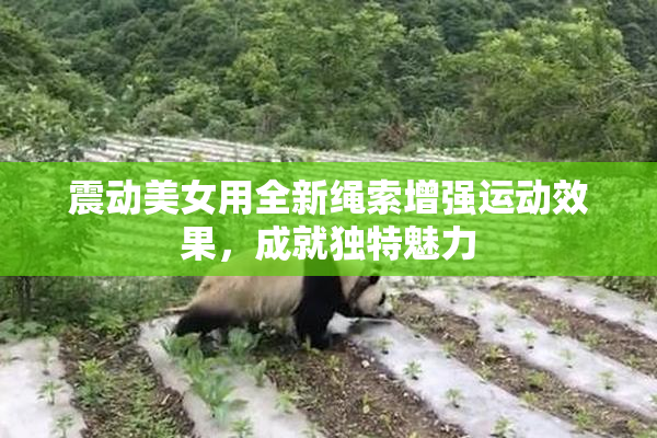 震动美女用全新绳索增强运动效果，成就独特魅力