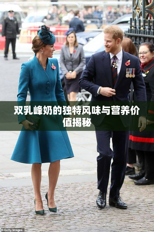 双乳峰奶的独特风味与营养价值揭秘