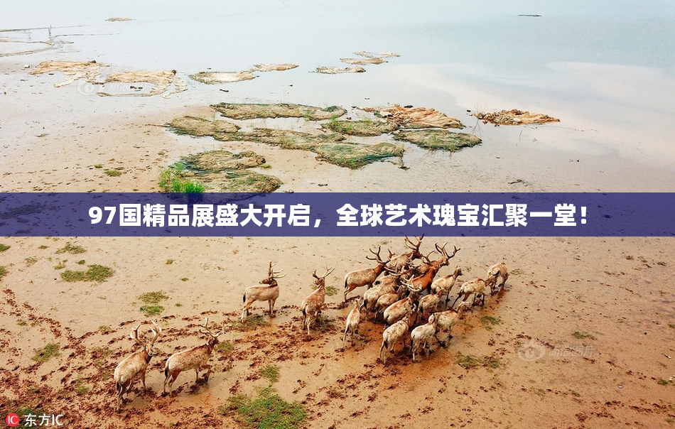 97国精品展盛大开启，全球艺术瑰宝汇聚一堂！