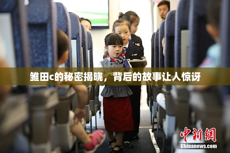 雏田c的秘密揭晓，背后的故事让人惊讶