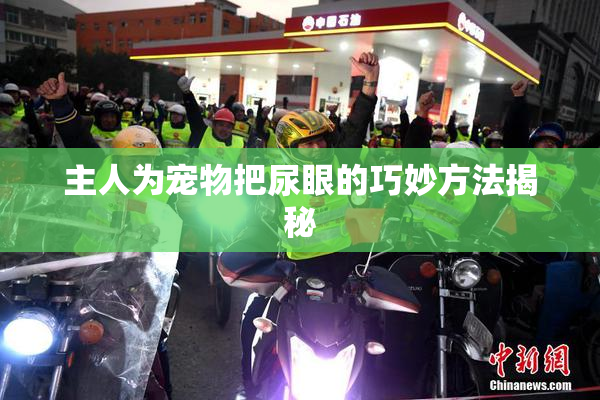 主人为宠物把尿眼的巧妙方法揭秘