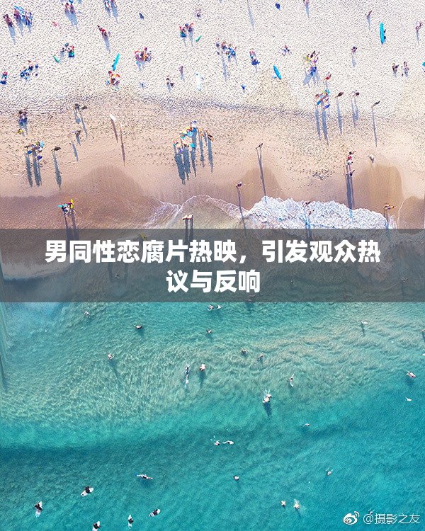 男同性恋腐片热映，引发观众热议与反响
