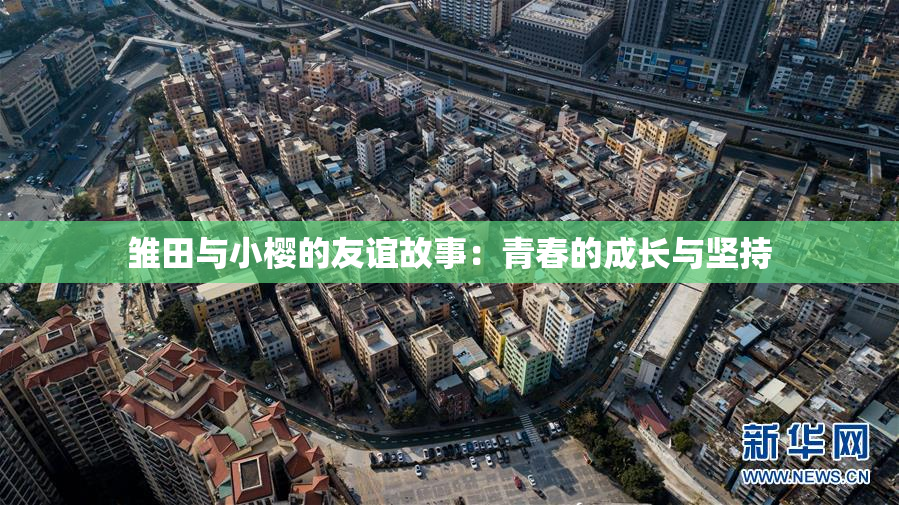 雏田与小樱的友谊故事：青春的成长与坚持