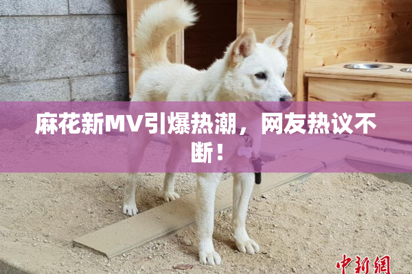 麻花新MV引爆热潮，网友热议不断！