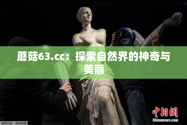 蘑菇63.㏄：探索自然界的神奇与美丽