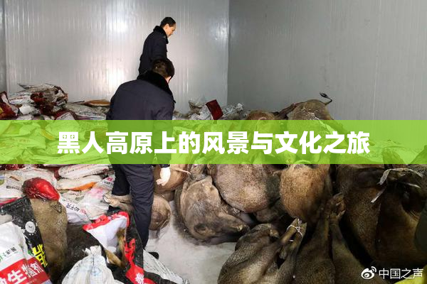 黑人高原上的风景与文化之旅