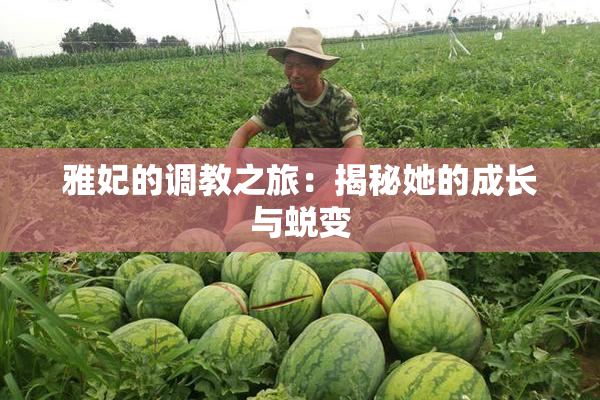 雅妃的调教之旅：揭秘她的成长与蜕变