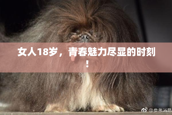 女人18岁，青春魅力尽显的时刻！