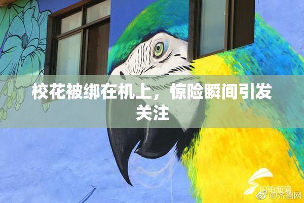 校花被绑在机上，惊险瞬间引发关注