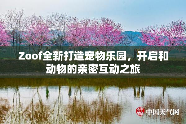 Zoof全新打造宠物乐园，开启和动物的亲密互动之旅