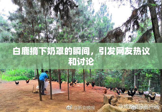 白鹿摘下奶罩的瞬间，引发网友热议和讨论