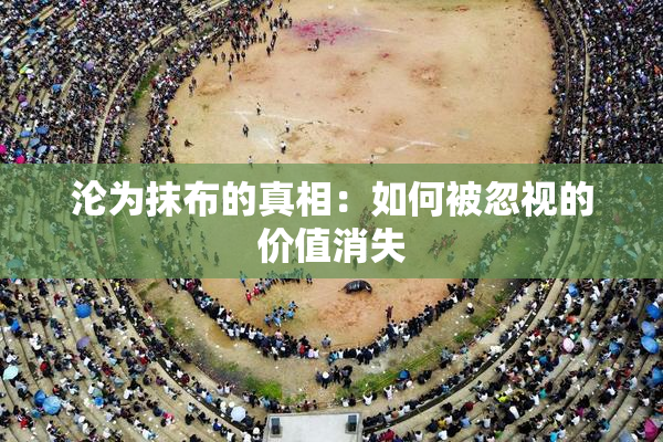 沦为抹布的真相：如何被忽视的价值消失